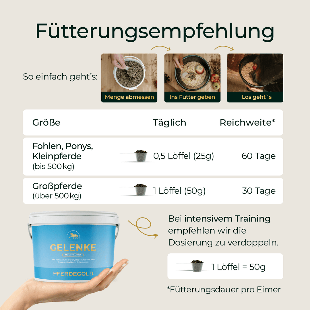 Gelenke Muschelfrei 2.0