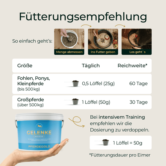 Gelenke Muschelfrei 2.0