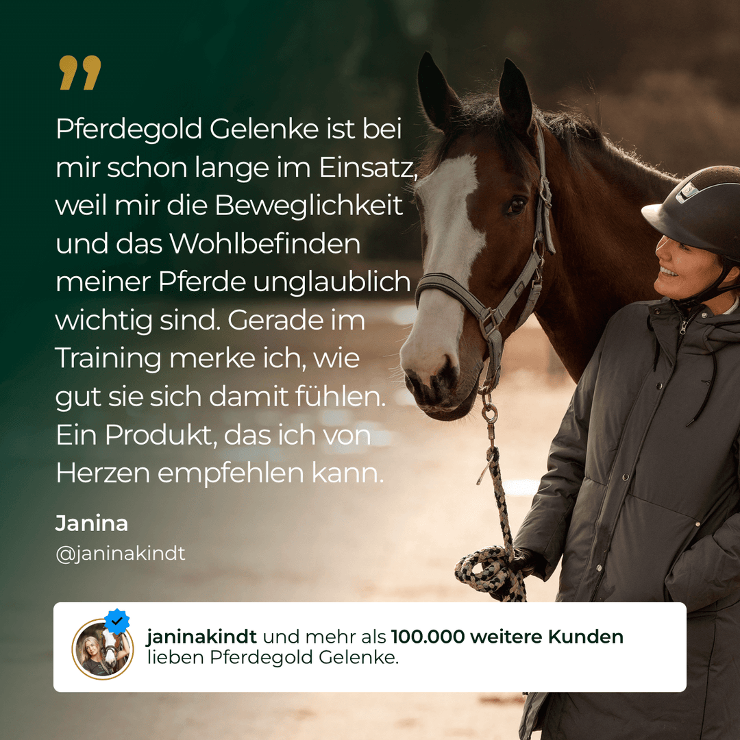 Gelenke+ 2.0