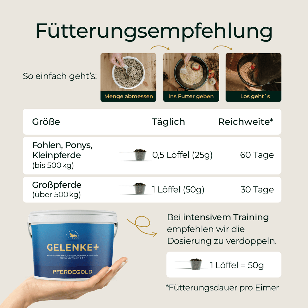 Gelenke+ 2.0