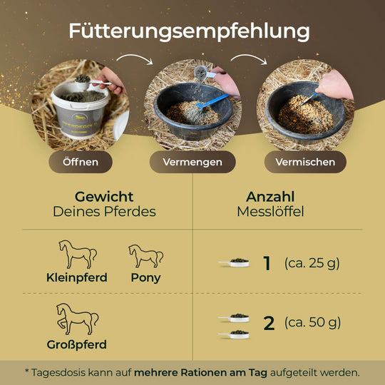 Haut & Fell