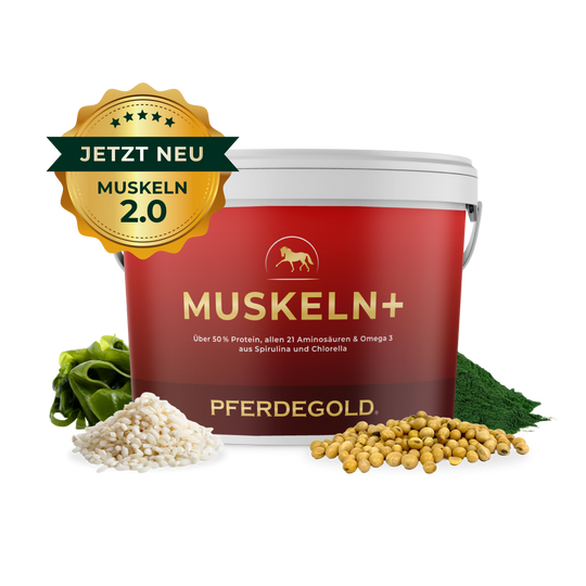 Muskeln+ 2.0