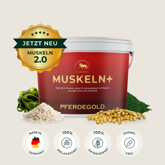 Muskeln+ 2.0