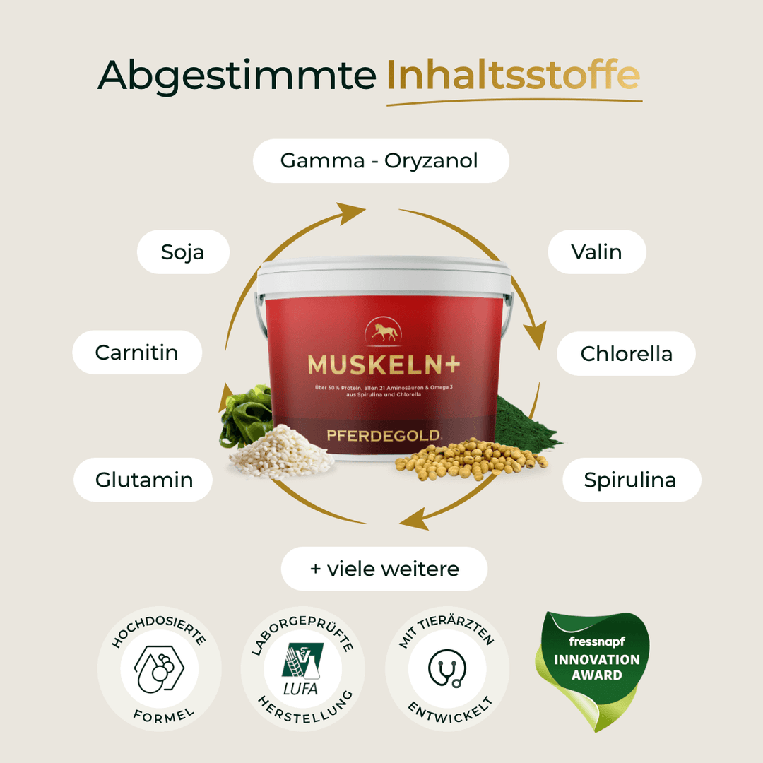 Muskeln+ 2.0
