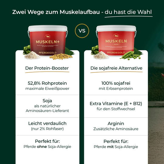 Muskeln+ 2.0