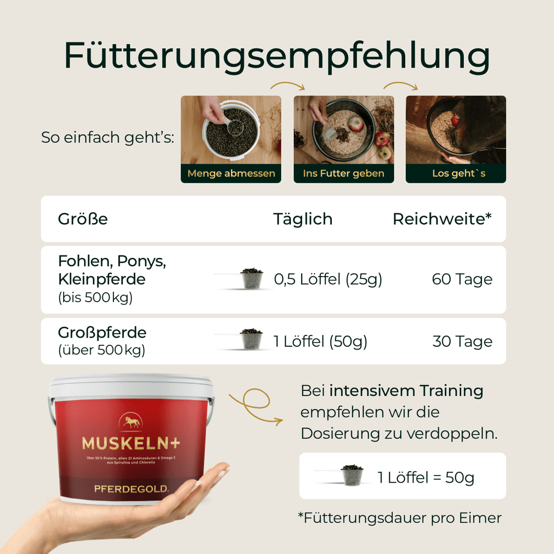 Muskeln+ 2.0