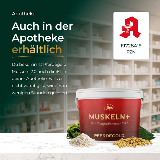 Muskeln+ 2.0