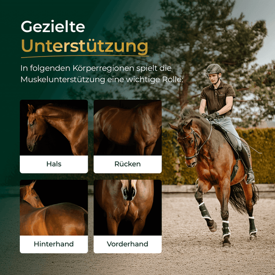 Muskeln 2.0 Sojafrei