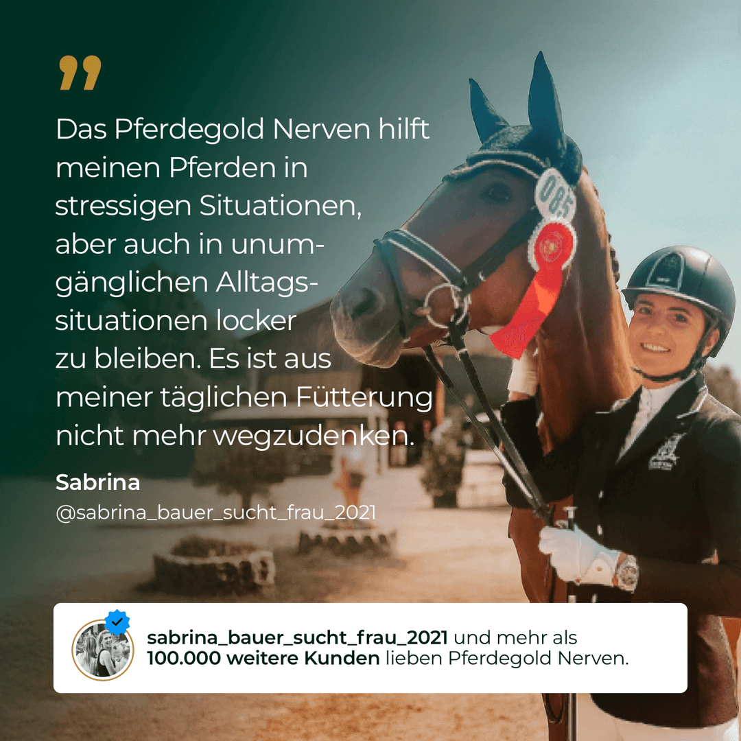 Nerven 2.0
