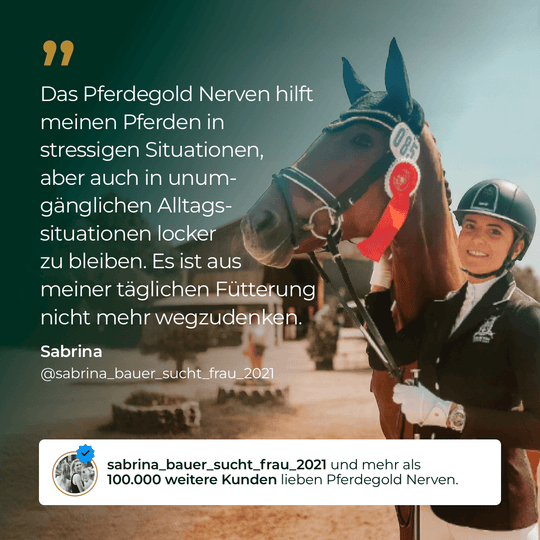Nerven 2.0