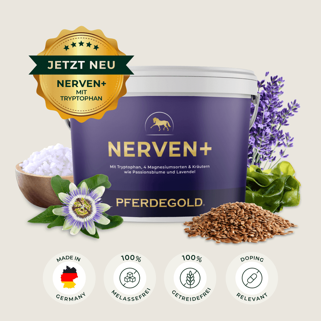 Nerven+ mit Tryptophan