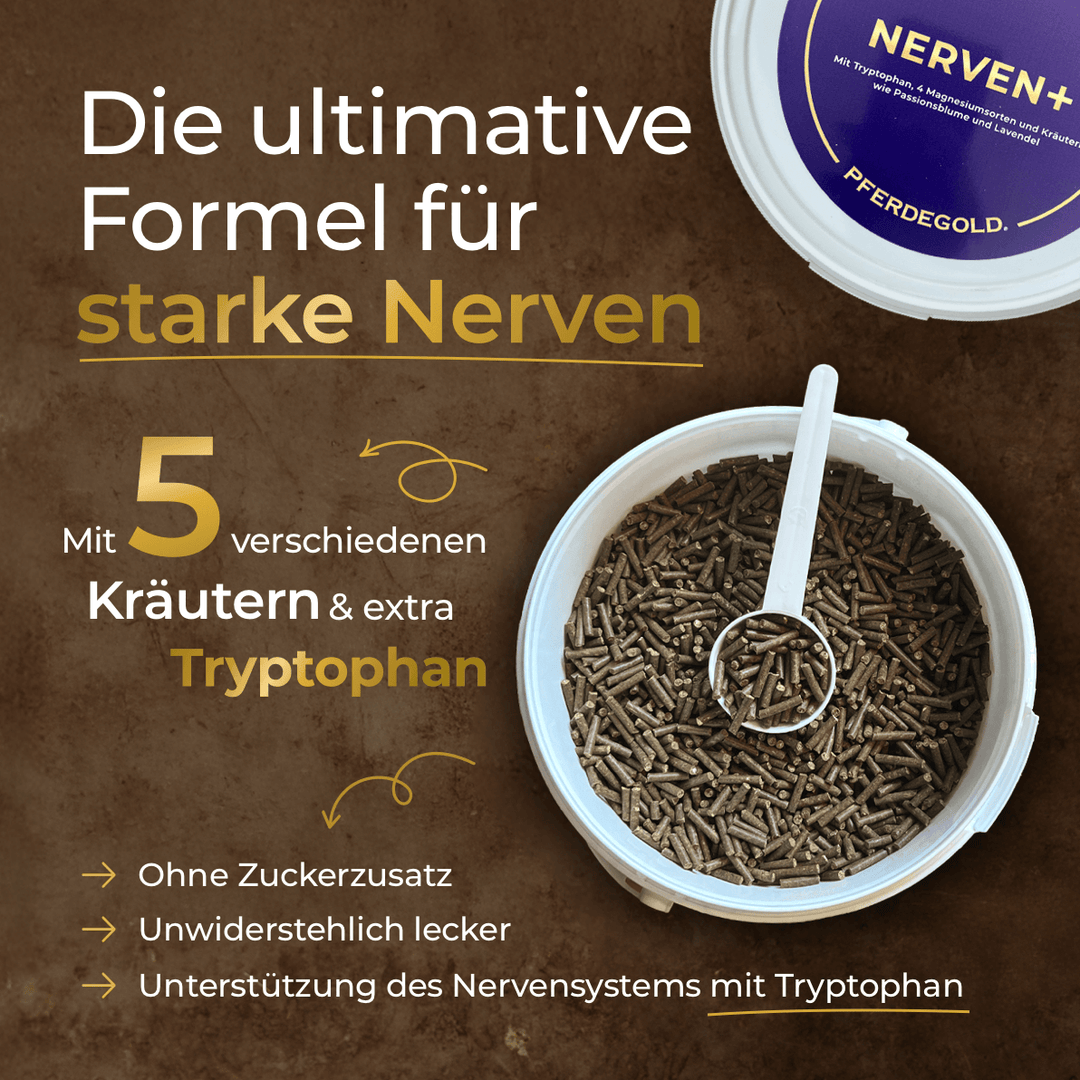 Nerven+ mit Tryptophan