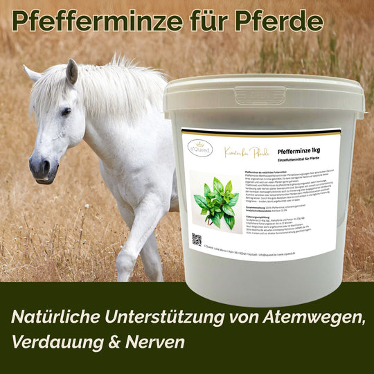 Pfefferminze Pferd 1kg