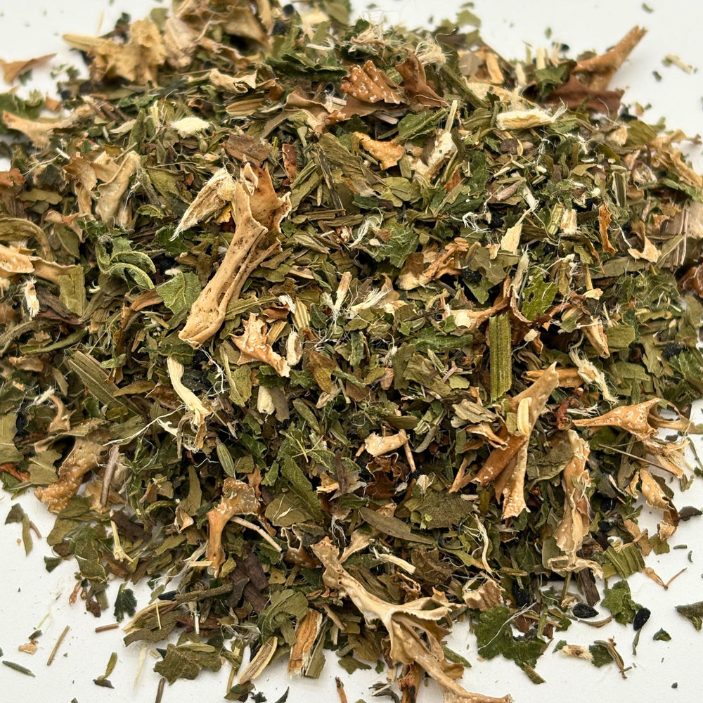 EquiLung Herbal RespiraCare Hustenkräuter für Pferde – zur langfristigen Unterstützung infektanfälliger Pferde