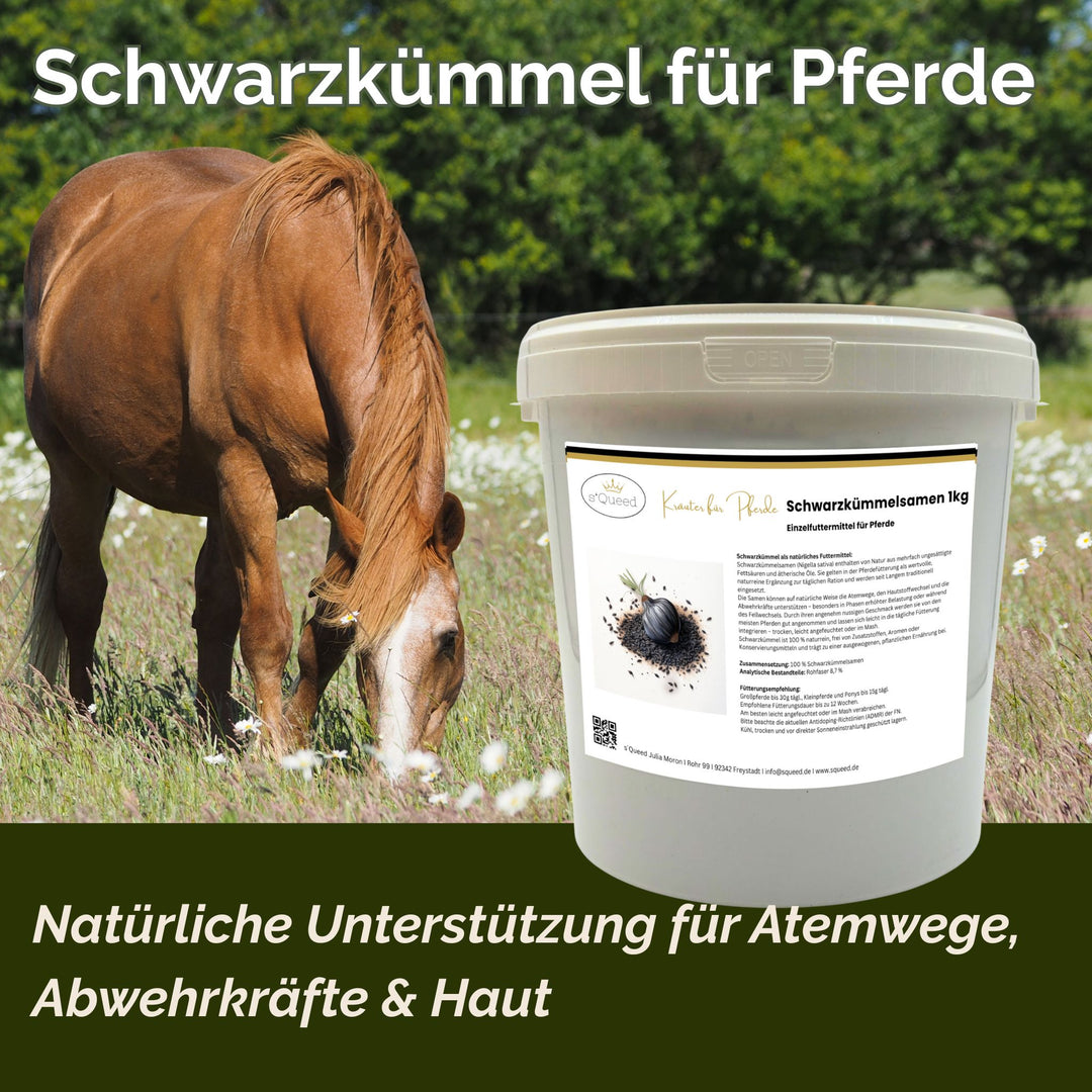 Schwarzkümmel Pferd 1kg