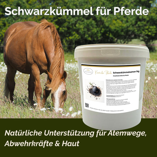 Schwarzkümmel Pferd 1kg