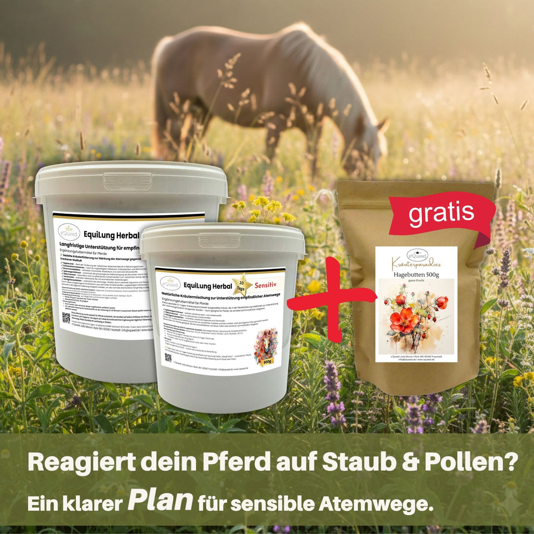 EquiLung Herbal Sensitiv & AllergProtect: aufeinander abgestimmte Kräutermischungen für Pferde zur Unterstützung sensibler Atemwege bei Umweltreizen wie Staub- und Pollenbelastung