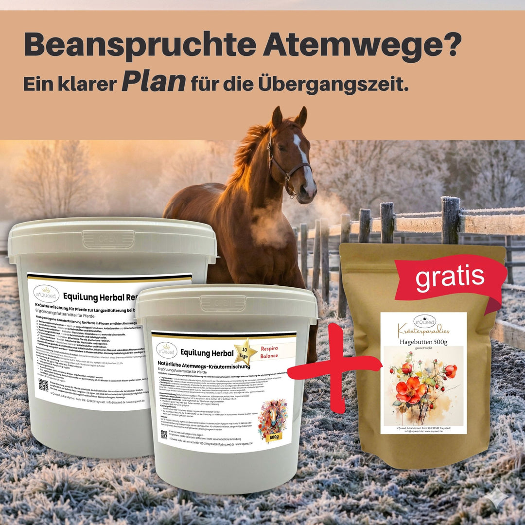 EquiLung Herbal RespiraBalance und RespiraCare: aufeinander abgestimmte Kräutermischungen für Pferde zur Unterstützung der Selbstreinigung bei beanspruchten Atemwegen