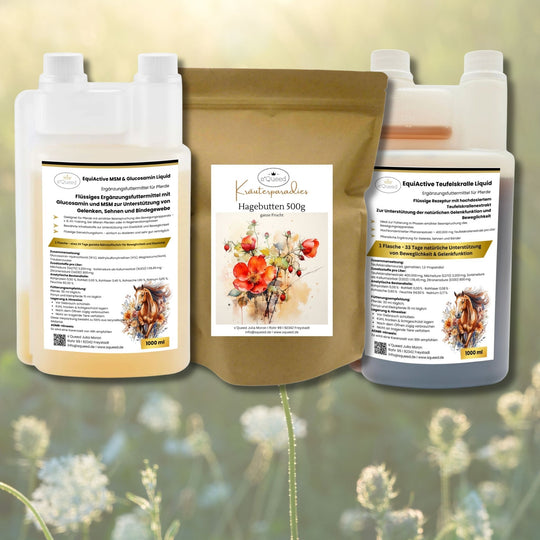 EquiActive Teufelskralle Liquid 1000ml + EquiActive MSM & Glucosamin 1000ml + Hagebutten für Pferde 500g für den Bewegungsapparat