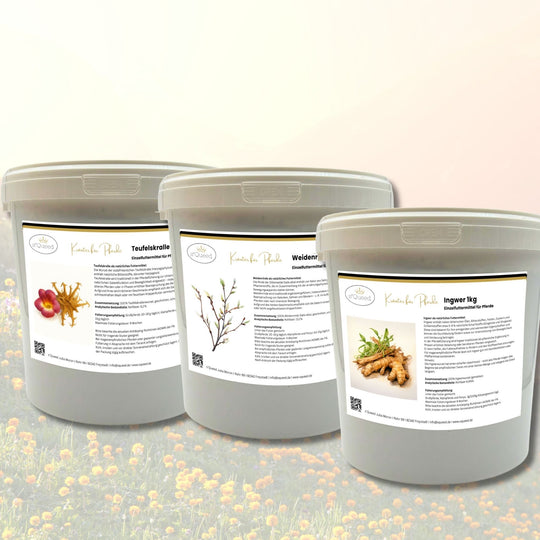 Teufelskralle 1kg + Weidenrinde 1kg + Ingwerpulver 1kg für Pferde