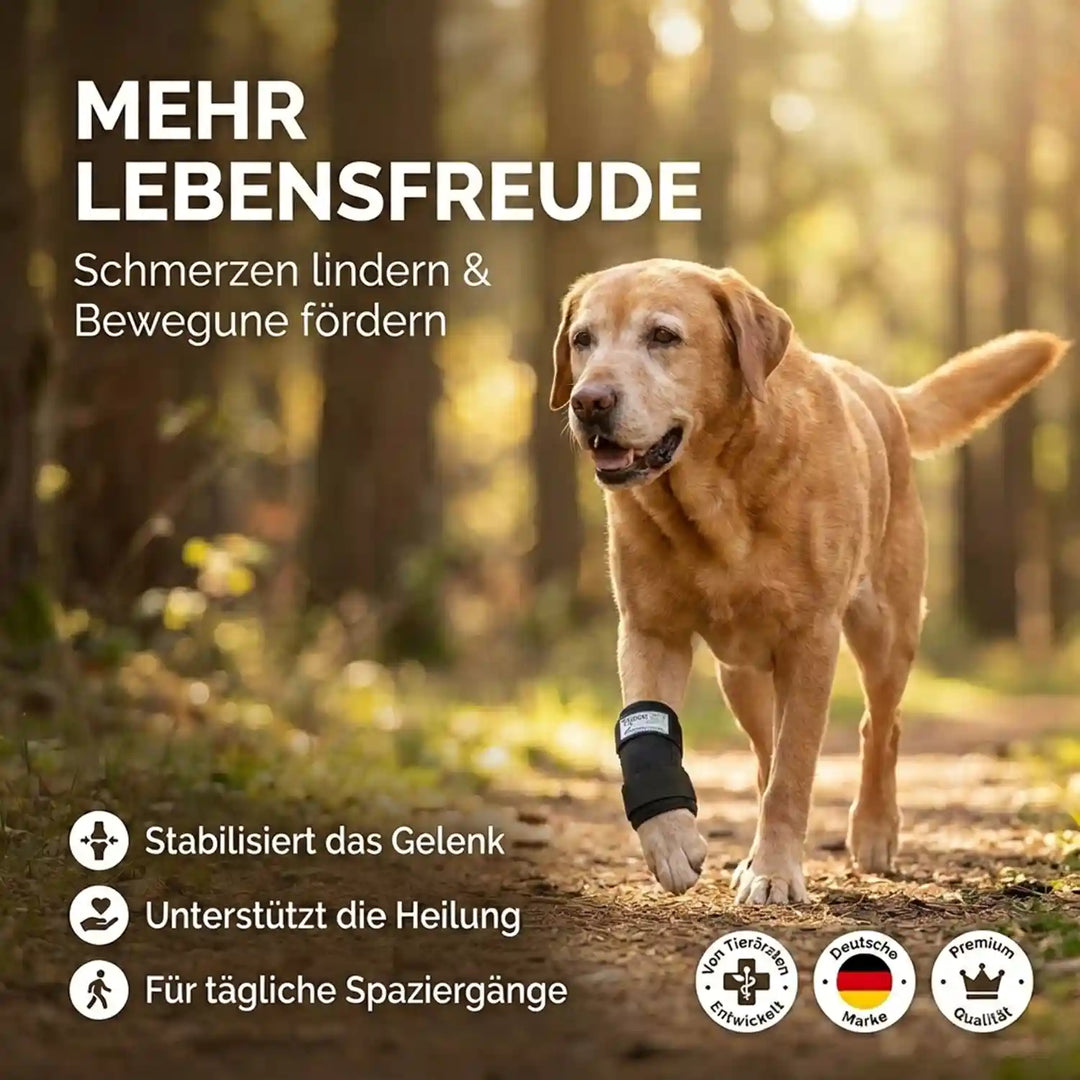 Durchtrittigkeits Bandage für Hunde mit Turbocast