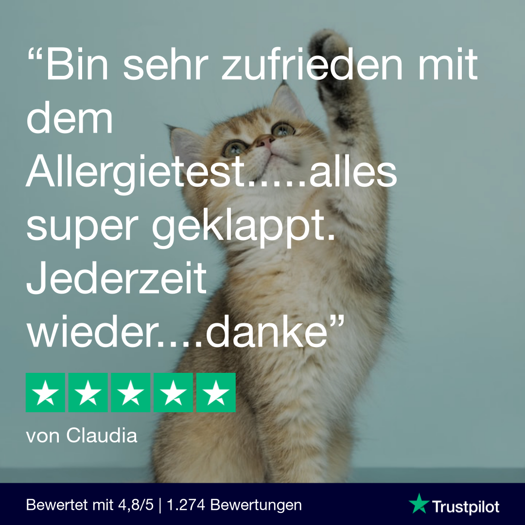 Allergietest Basic Katze