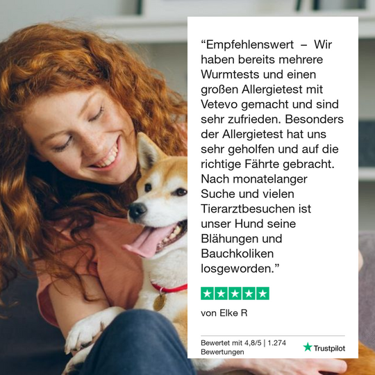 Allergietest Basic Katze