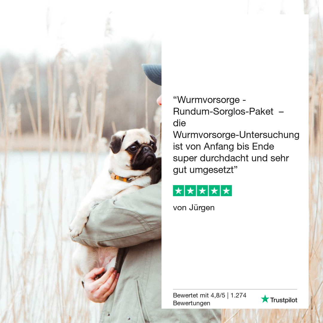 Lungenwurmtest Hund
