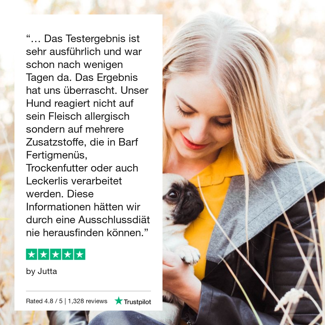 Allergietest Plus Katze