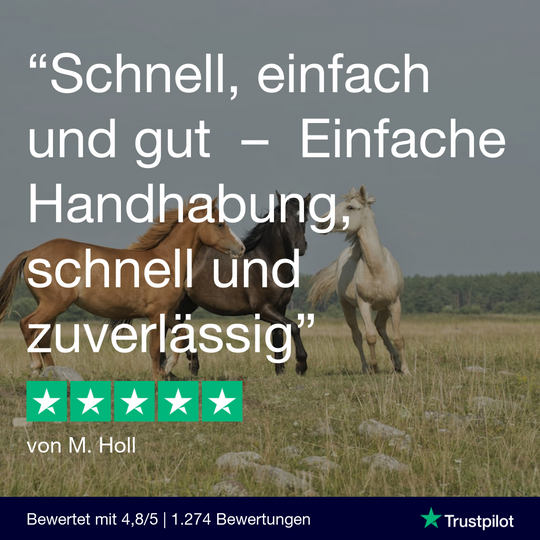 Lungenwurmtest Pferd