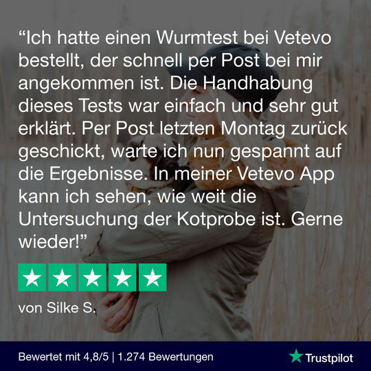 Giardientest Katze