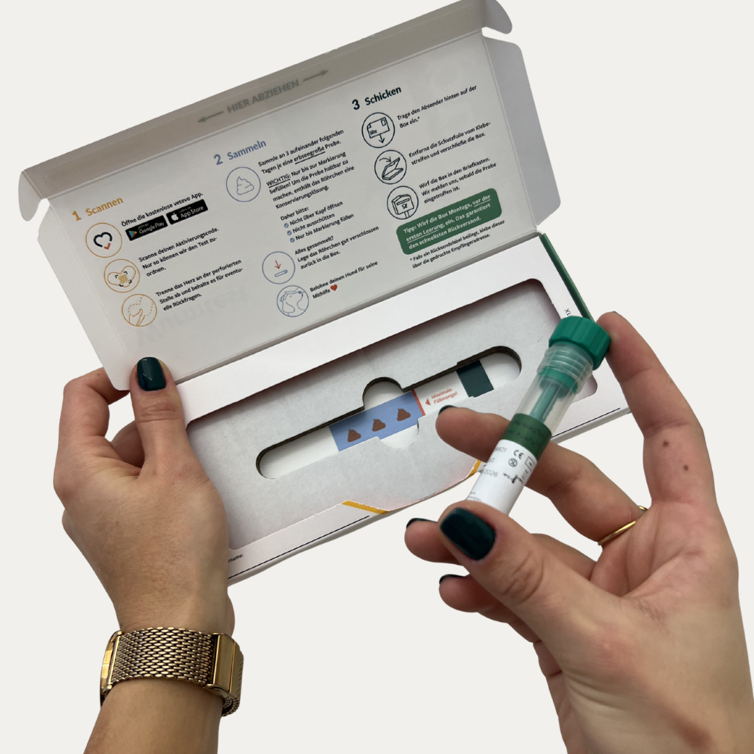 Wurmtest Basic Katze Sparpaket