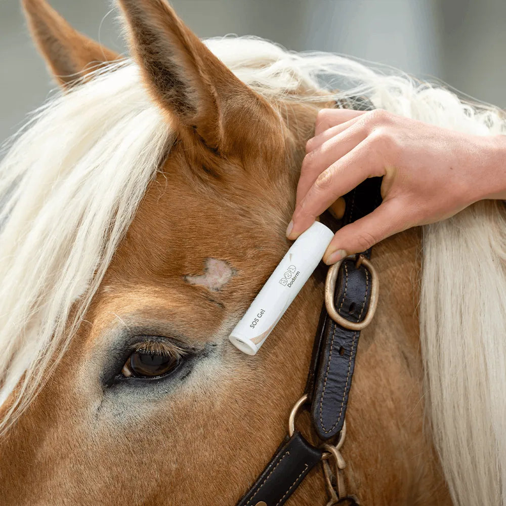 SOS Repair Gel für Hund, Katze & Pferd – Schnelle Hilfe bei Juckreiz & Wunden | Doderm