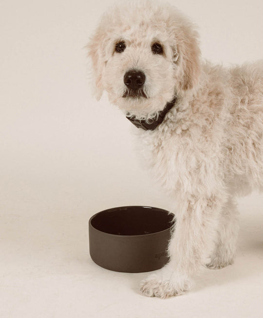 Ceramic Bowl