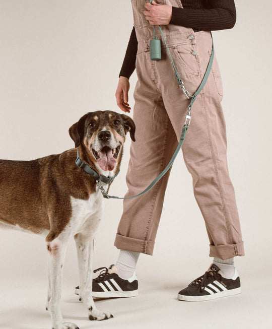 Walk Set