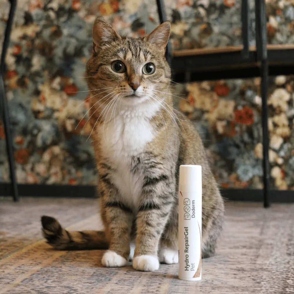 Doderm RepairGel für Hund & Katze - Hilft bei juckender Haut