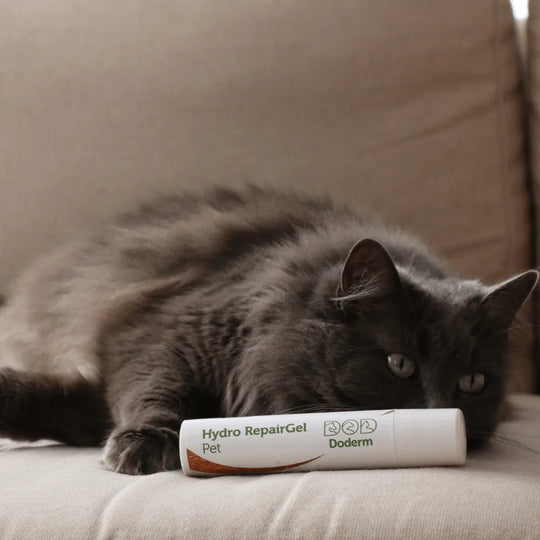Doderm RepairGel für Hund & Katze - Hilft bei juckender Haut