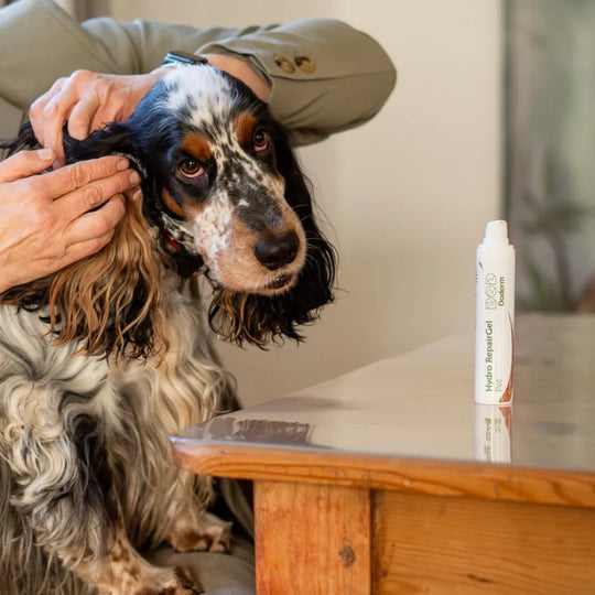 Doderm RepairGel für Hund & Katze - Hilft bei juckender Haut