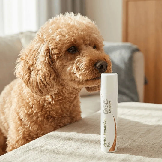 Doderm RepairGel für Hund & Katze - Hilft bei juckender Haut