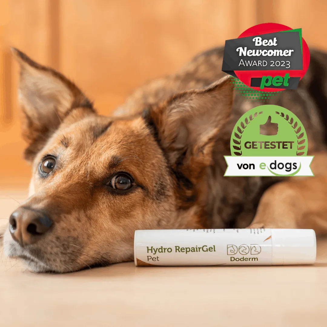 Doderm RepairGel für Hund & Katze - Hilft bei juckender Haut