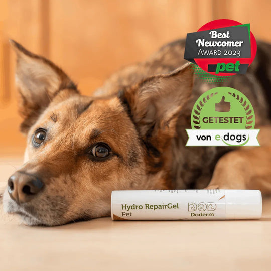 Doderm RepairGel für Hund & Katze - Hilft bei juckender Haut