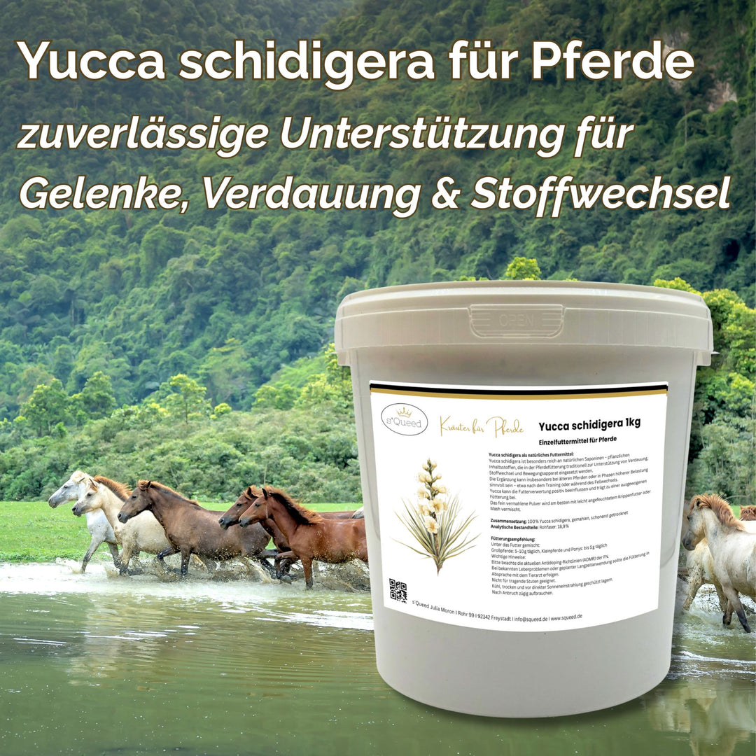 Yucca schidigera Pferd Pulver 1kg